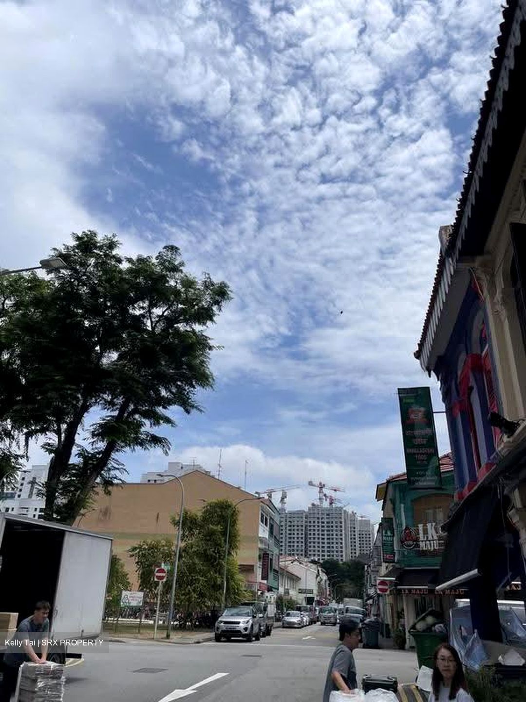 Little India Conservation Area (D8), Shop House #625793421